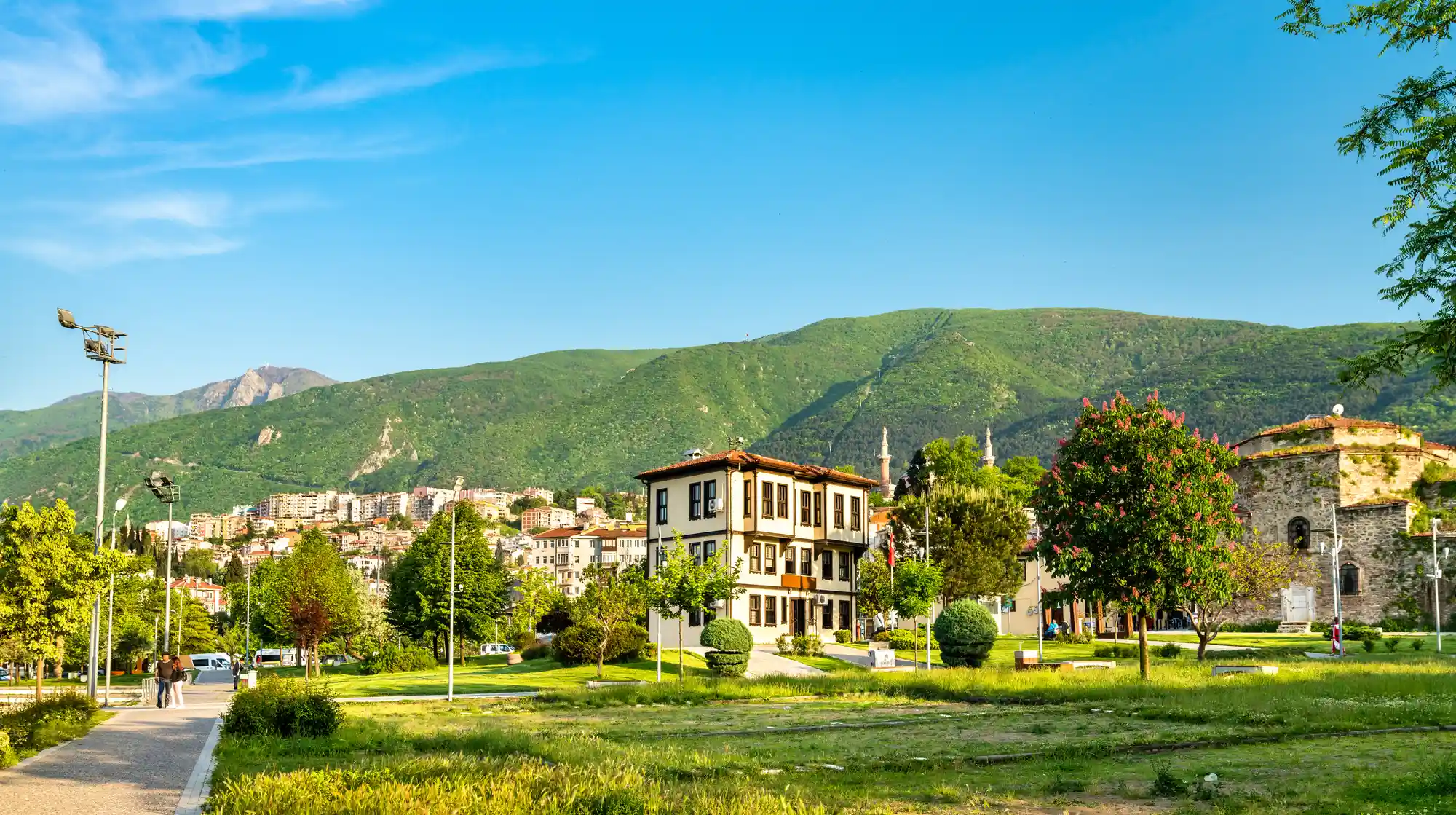 Bursa Turu