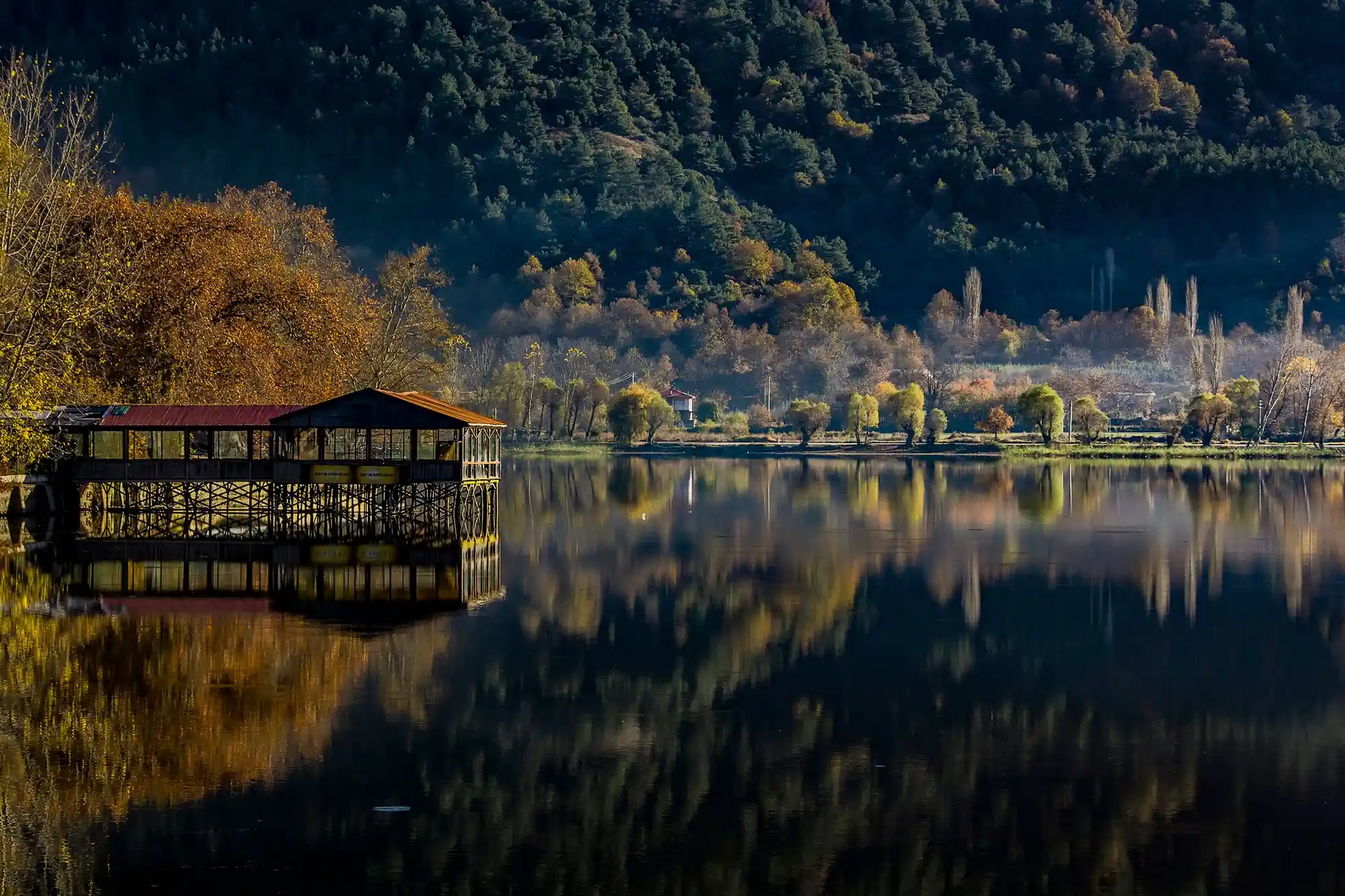 Sapanca Turu